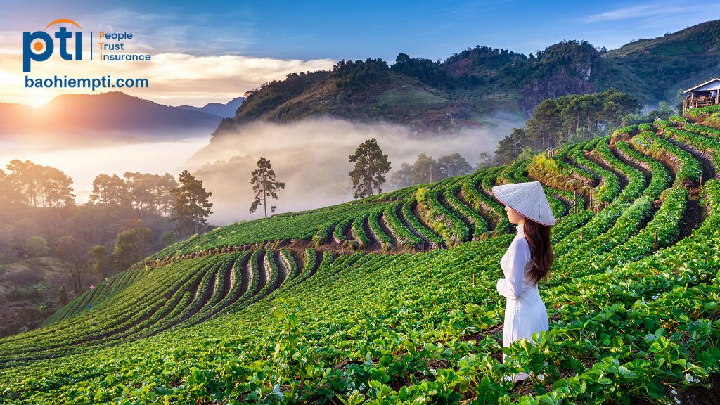 Quy tắc bảo hiểm du lịch trong nước