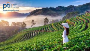 Quy tắc bảo hiểm du lịch trong nước